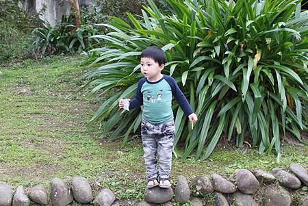 吃餅乾2 吃餅乾2