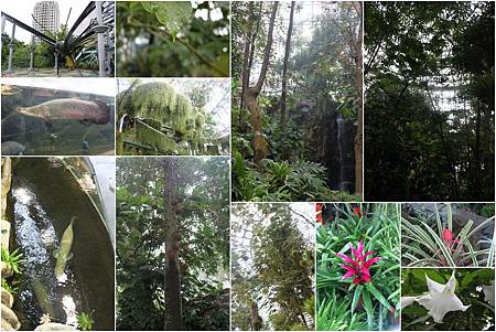 植物園 植物園