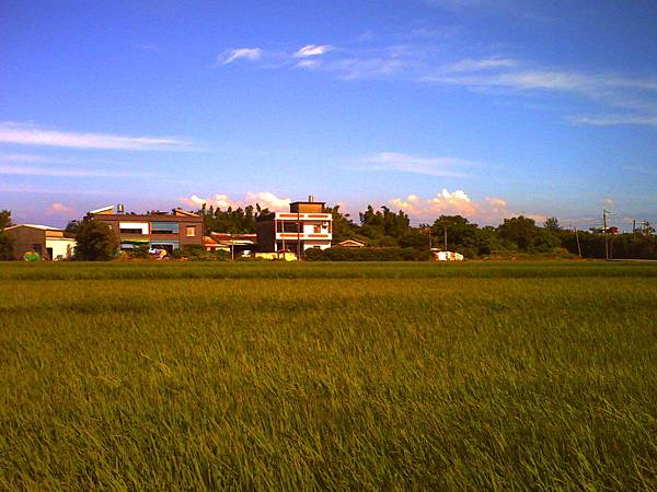 PICT0123.JPG PICT0123.JPG