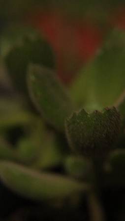IMG_7961 IMG_7961