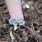 IMG_9288 IMG_9288