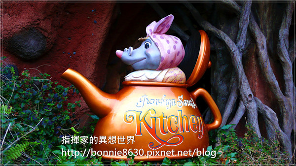 P1110142 P1110142