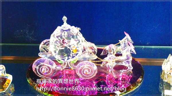 P1110105 P1110105