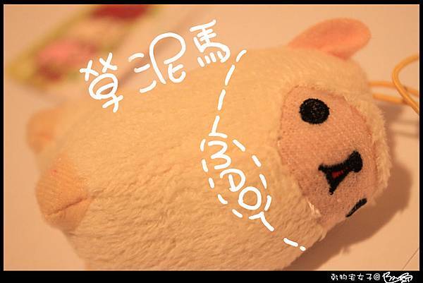 IMG_5584拷貝tw IMG_5584拷貝tw