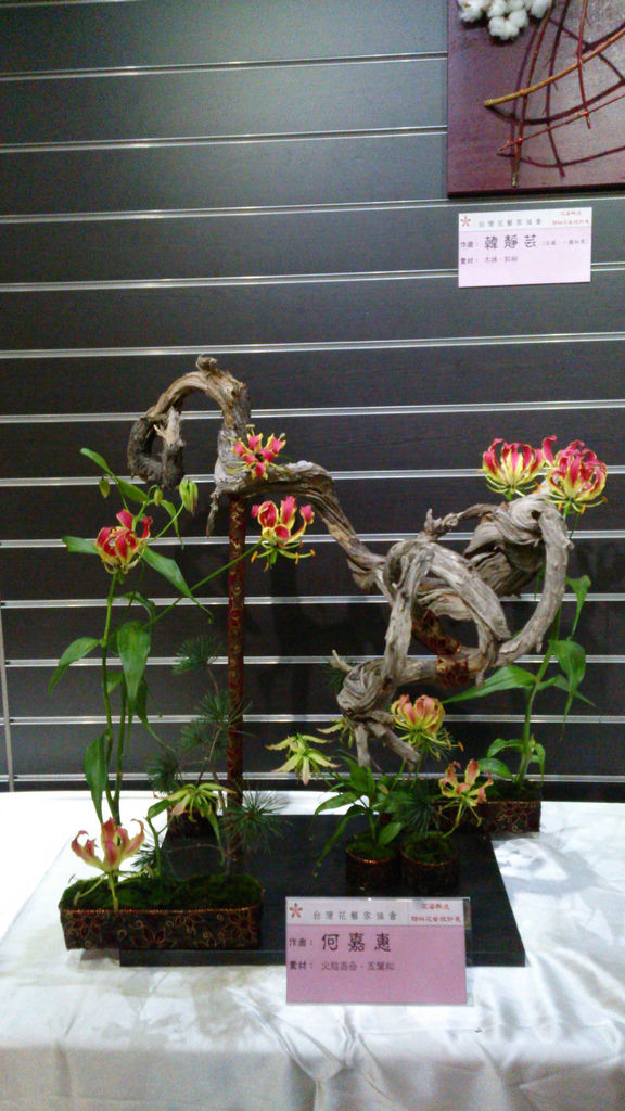 unnamed (5) unnamed (5)