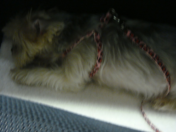 DSC01318.JPG DSC01318.JPG