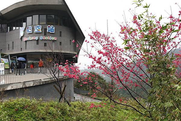 IMG_2125.JPG IMG_2125.JPG