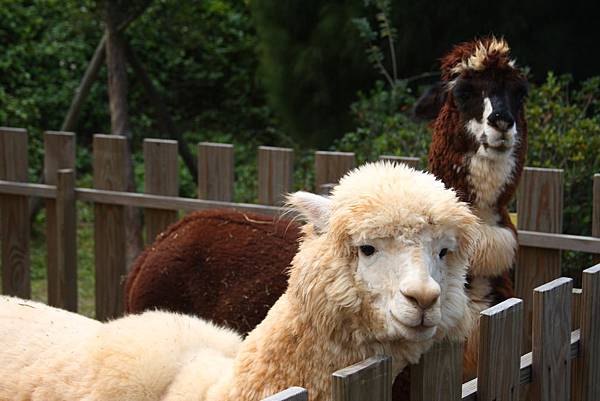 IMG_2136.JPG IMG_2136.JPG