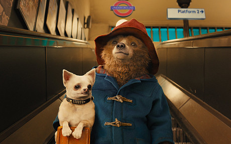 [电影] 爆笑如雷的paddington bear (柏灵顿之熊爱趴趴走)