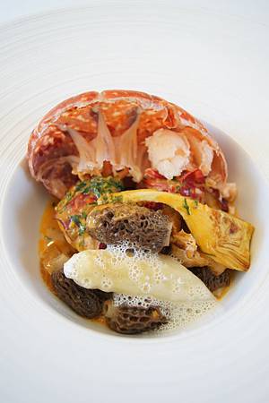 homard morille.JPG homard morille.JPG