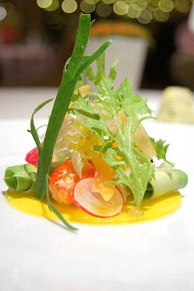 DSC01253 DSC01253