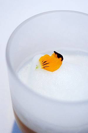 consomme consomme