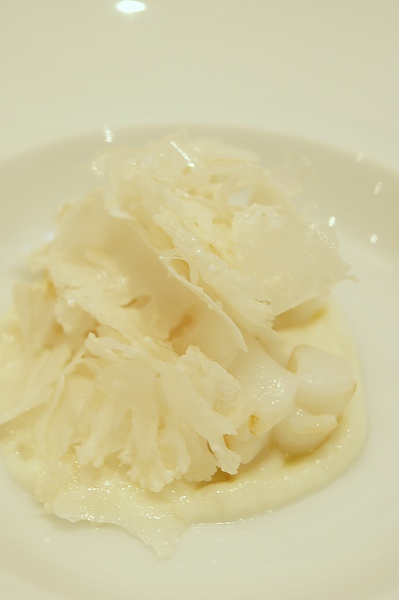 Calamar Choux Fleur 2.JPG Calamar Choux Fleur 2.JPG