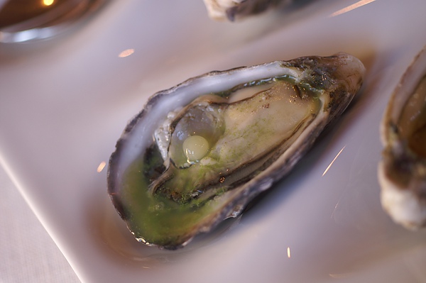 huitre-perle citron 2.JPG huitre-perle citron 2.JPG