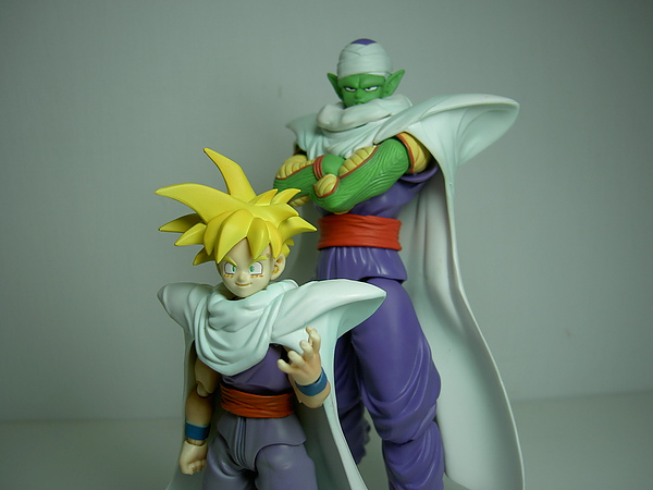 PICT1655.JPG PICT1655.JPG