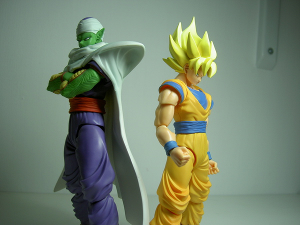 PICT0252.JPG PICT0252.JPG