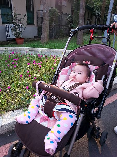 【妮妮初體驗】台大校園一日遊 (3)