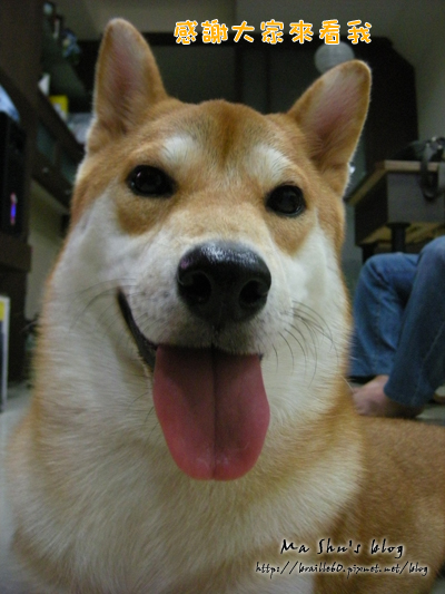 DSCN9260.jpg DSCN9260.jpg