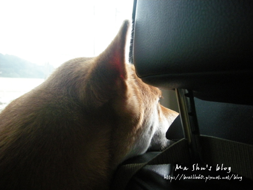 DSCN9557.jpg DSCN9557.jpg
