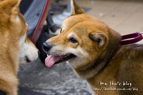 IMG_5165.jpg IMG_5165.jpg