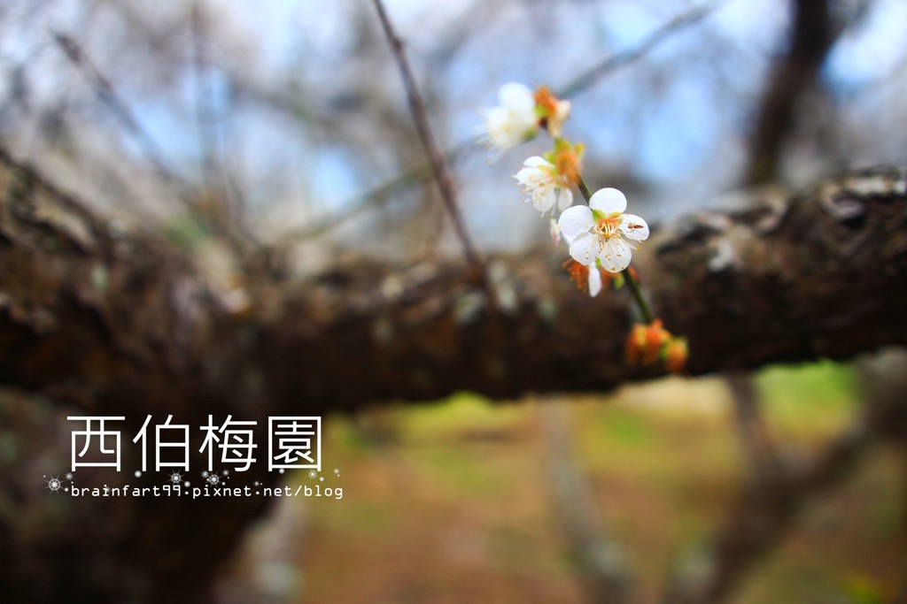 IMG_4803 IMG_4803
