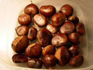 栗子果實