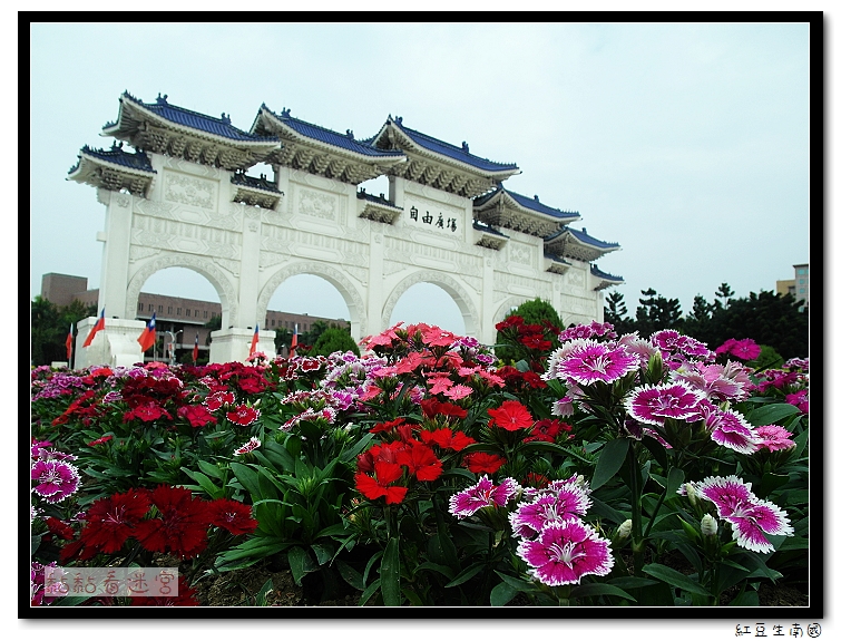 nEO_IMG_SAM_4320 - 複製