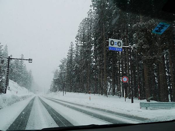 P1000162 (1280x960) P1000162 (1280x960)