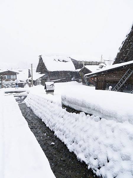 P1000225 (960x1280) P1000225 (960x1280)