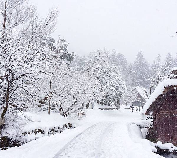 1780673_10203211358429409_1215045223_n 1780673_10203211358429409_1215045223_n