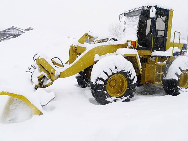 P1000301 (1280x960) P1000301 (1280x960)