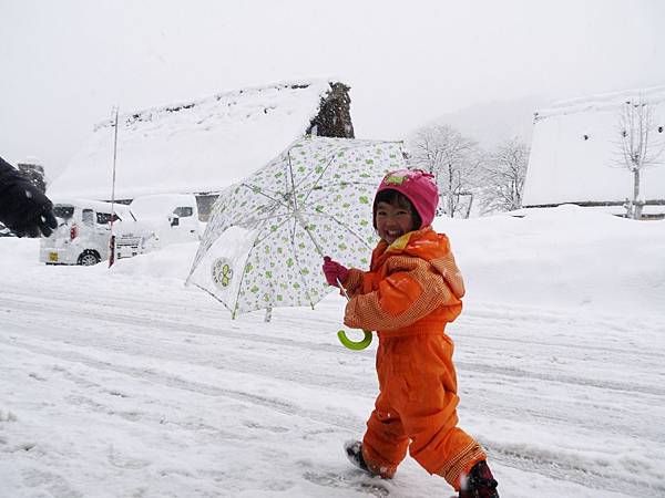 P1000331 (1280x960) P1000331 (1280x960)