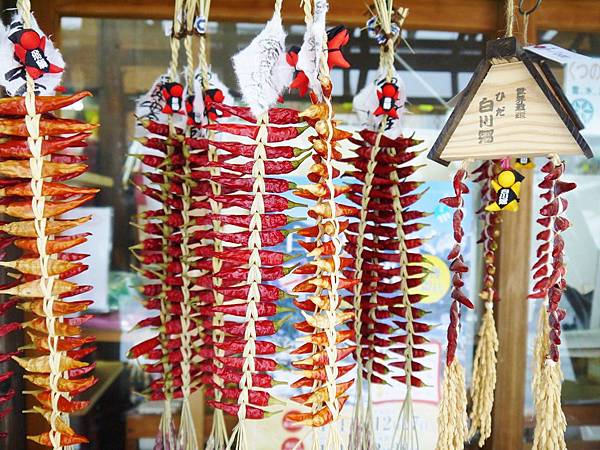 P1000341 (1280x960) P1000341 (1280x960)