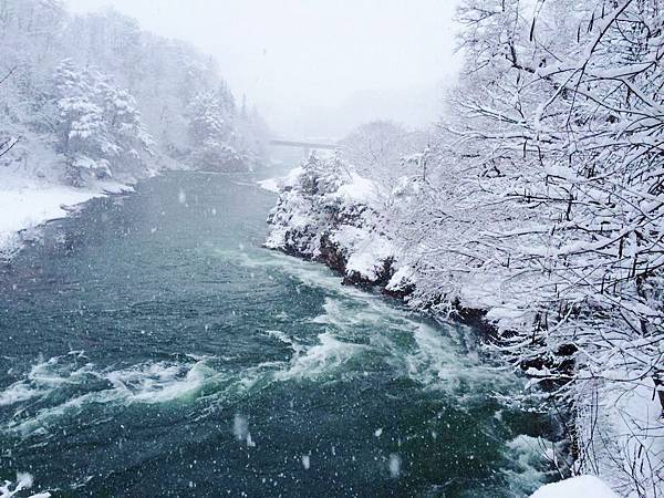 1620526_10203211351869245_241937142_n 1620526_10203211351869245_241937142_n