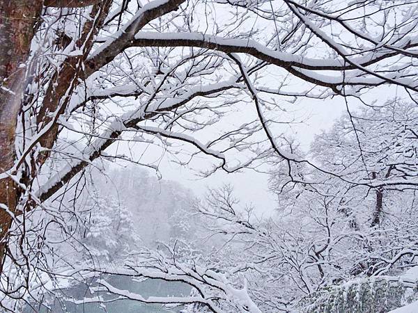 1601600_10203211352829269_202166952_n 1601600_10203211352829269_202166952_n