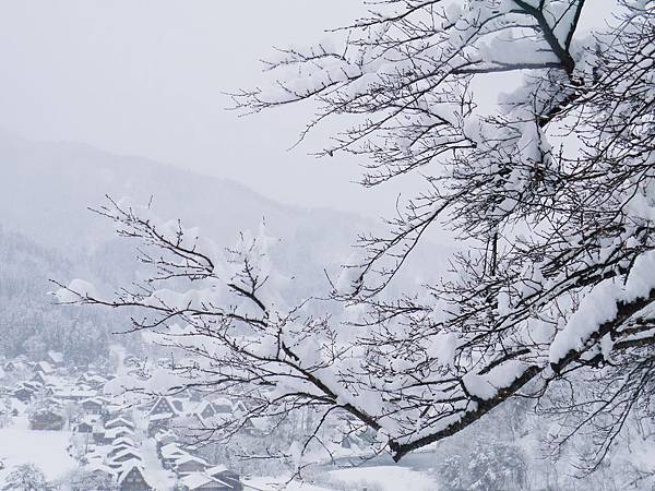 P1000571 (1280x960) P1000571 (1280x960)