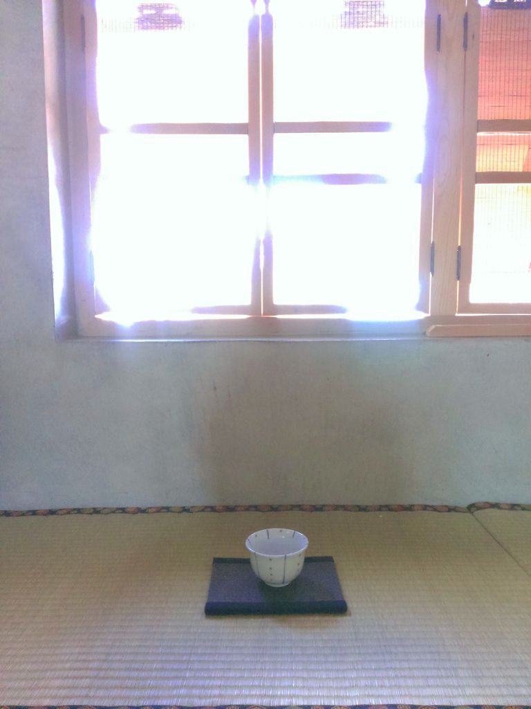 IMAG6494_BURST001 IMAG6494_BURST001