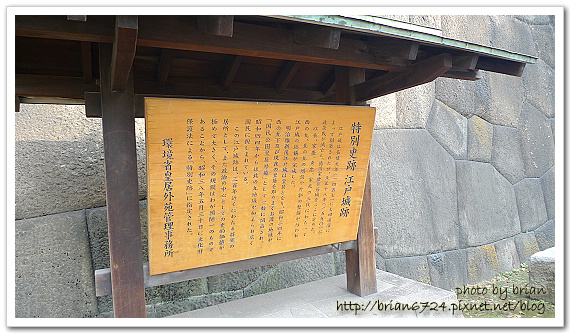 P1100820.jpg