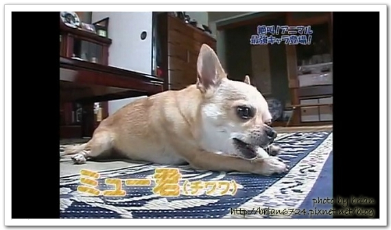 2010-03-29 00 46 14.jpg