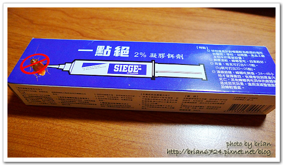 P1090643.jpg