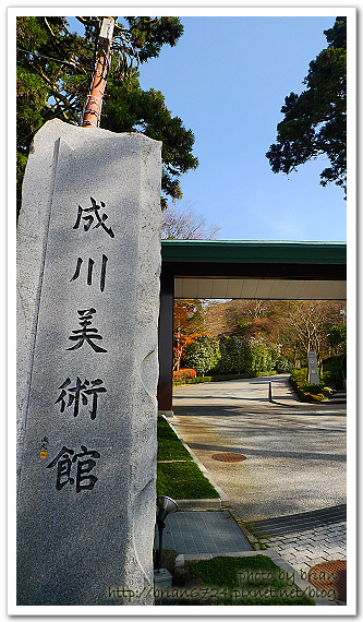 P1110223.jpg