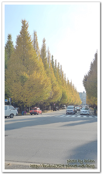P1100904.jpg