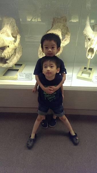 IMAG0538 (複製) IMAG0538 (複製)