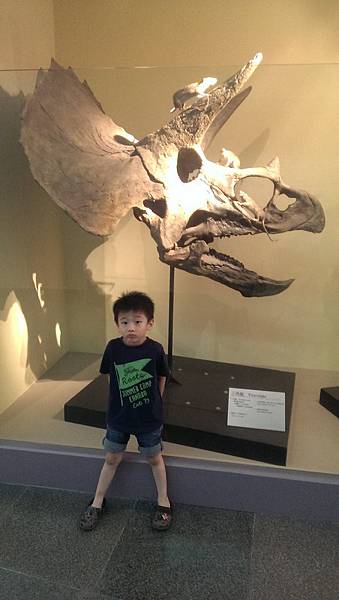 IMAG0539 (複製) IMAG0539 (複製)