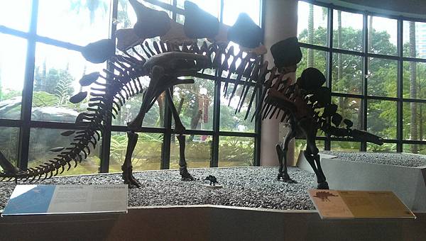 IMAG0526 (複製) IMAG0526 (複製)