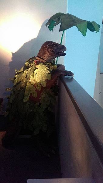 IMAG0533 (複製) IMAG0533 (複製)