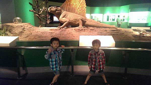 IMAG0516 (複製) IMAG0516 (複製)