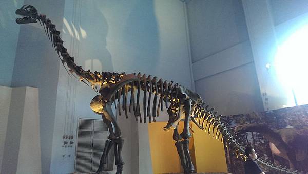 IMAG0522 (複製) IMAG0522 (複製)