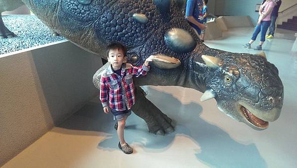 IMAG0529 (複製) IMAG0529 (複製)