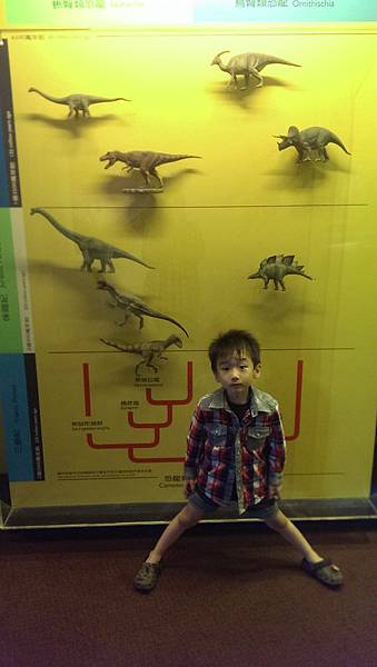 IMAG0520 (複製) IMAG0520 (複製)